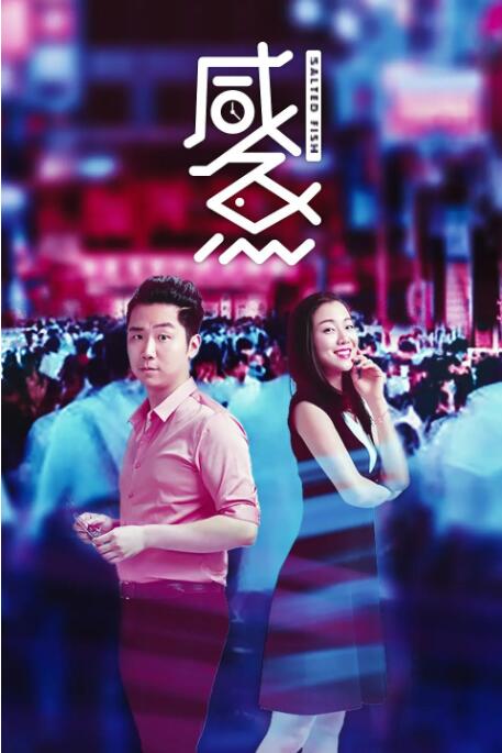 完结高清影视