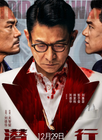 手机免费播放